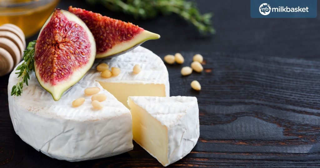 White cheese brie or camembert. Gourmet appetizer cheese plate with white cheese, figs, thyme, honey and nuts