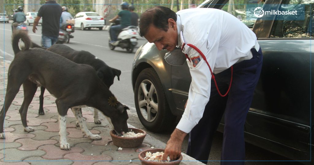  a traffic policeman in Delhi feeding stray dogs during the covid lockdown