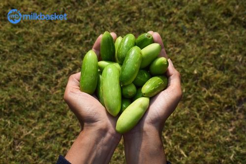 Kundru or Ivy gourd - an all season vegetable that is particulary good during monsoon