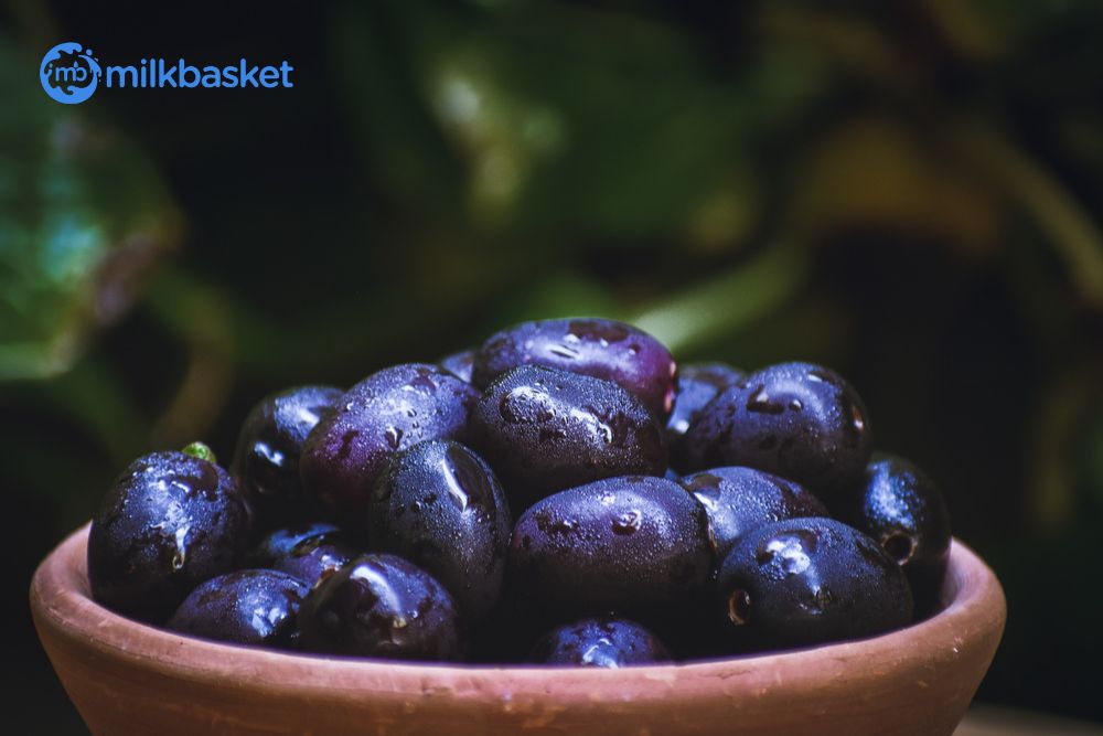 Best of monsoon foods in india - Jamun or indian blackberry