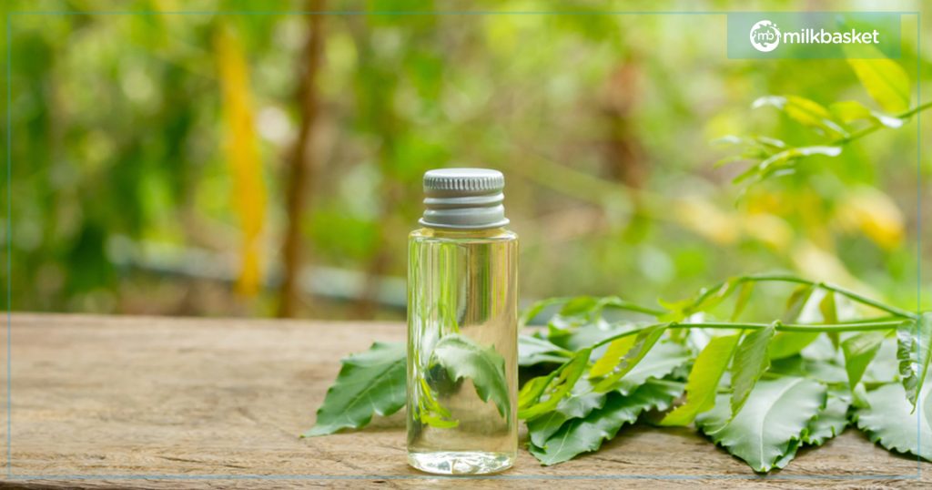 Neem oil is known to help with skin cleaning, acne, rashes, spots, and cooling of the skin in nabhi chikitsa