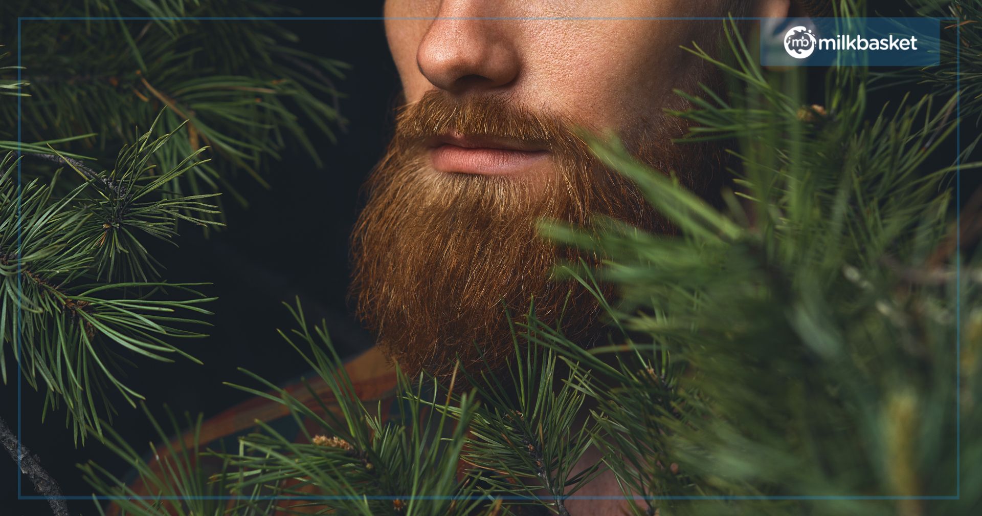 6 Beard Grooming Tips That Every Man Should Know To Maintain A Healthy