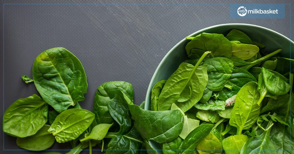 Fresh and clean spinach leaves on a gray background