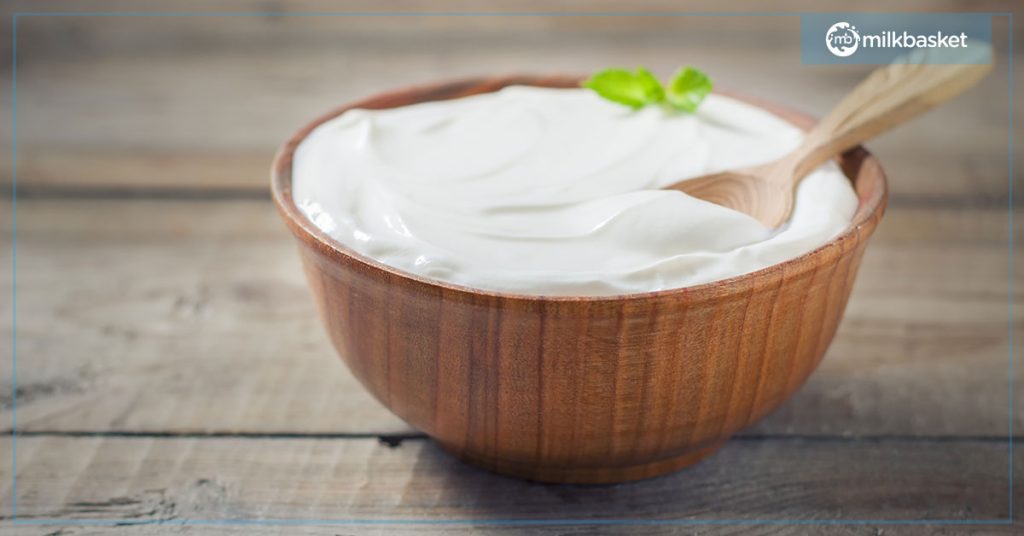 greek yogurt is a high protein yoghurt
