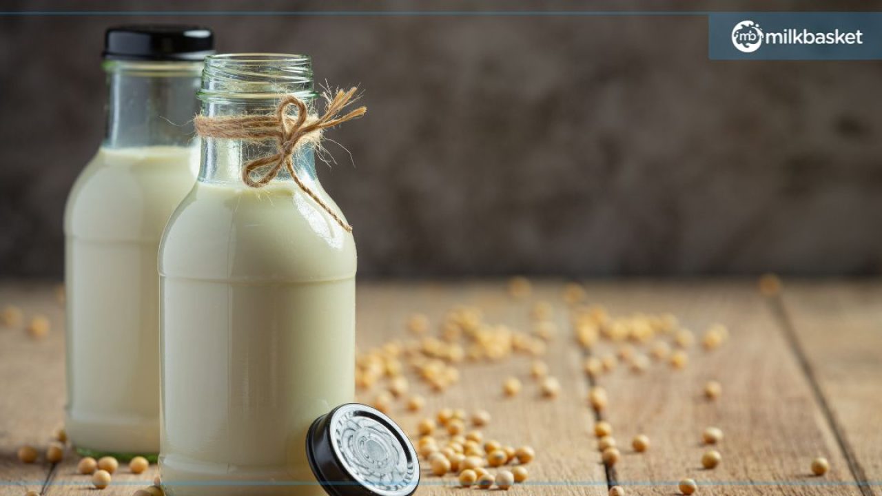 Best vegan milk 2023: From oat and soy to coconut and hemp