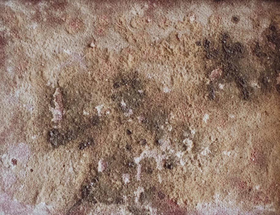 A close-up view of a clothe covered with mold and mildew, highlighting tough stains that can appear in damp environments.