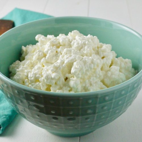 A turquoise bowl filled with fresh, creamy cottage cheese, an excellent protein option for vegetarians